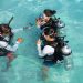 For Ocean Adventure Week, Nova Maldives collaborates with PADI.
this July
