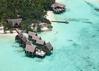 Where greatness meets passion in the work of Constant Moofushi