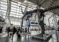Dinosaurs descend on US airports