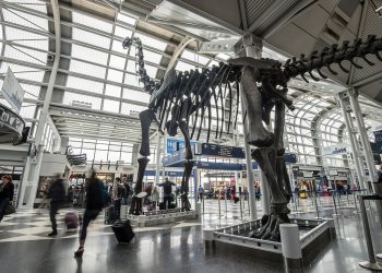 Dinosaurs descend on US airports