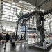 Dinosaurs descend on US airports