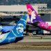 Alaska Airlines’ new South Korea flights now on sale