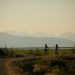 Explore the unique Pacific ecosystems of Richmond,
B.C.