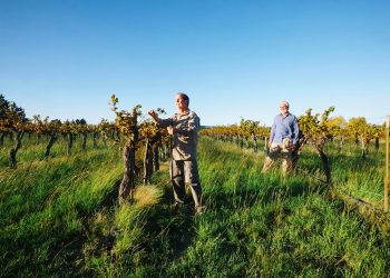 Texas now has its first Waldorf Astoria, and it’s also getting the first one.
You might be surprised at how wine-focused a site is.