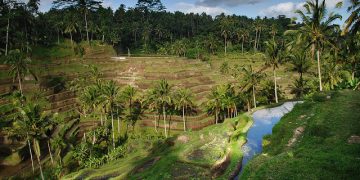 Korean Air: New York – Bali, Indonesia. $926. Roundtrip,
including all Taxes