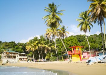 Discover the treasures of Tobago
