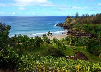 United: San Francisco – Kauai, Hawaii (and vice versa). $237
(Basic Economy) / $337 (Regular Economy). Roundtrip, including all
Taxes