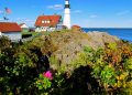 American: Phoenix – Portland, Maine (and vice versa). $216
(Basic Economy) / $316 (Regular Economy). Roundtrip, including all
Taxes