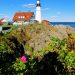 American: Phoenix – Portland, Maine (and vice versa). $216
(Basic Economy) / $316 (Regular Economy). Roundtrip, including all
Taxes