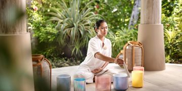 Ananda in the Himalayas results to The Turtle Island
this August