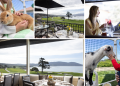 Luxury for Less: Spring Getaway Deals at Pebble Beach
Resorts’ Inn at Spanish Bay