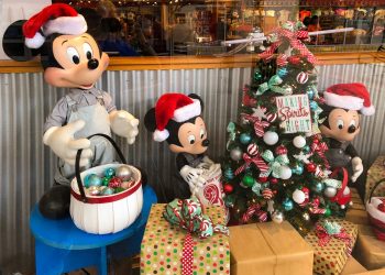 Completely Sunrise Store at Disney Character Warehouse
Closing Quickly!